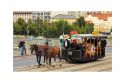 «Лошадиный трамвай»